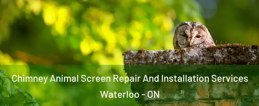  Chimney Animal Screen Repair And Installation Services Waterloo - ON
