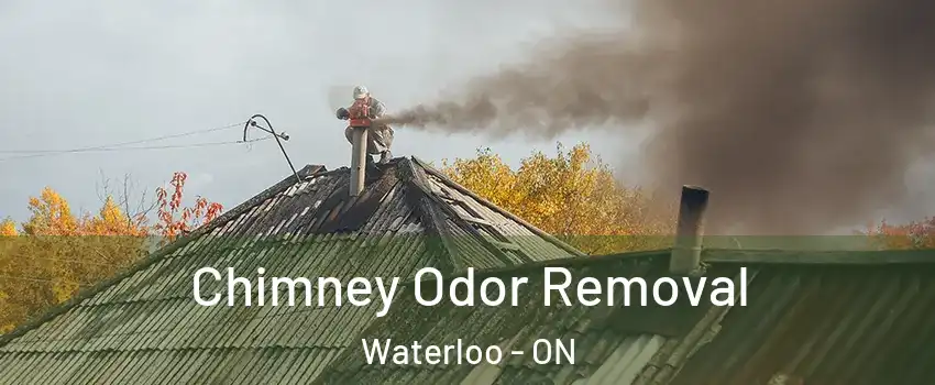 Chimney Odor Removal Waterloo - ON