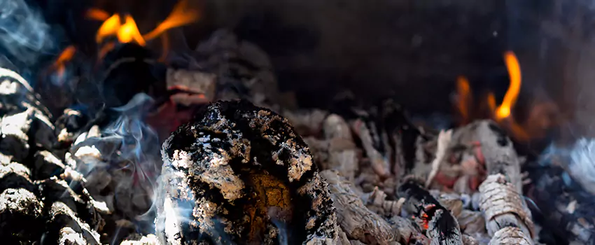 Creosote Removal Experts in Waterloo, ON