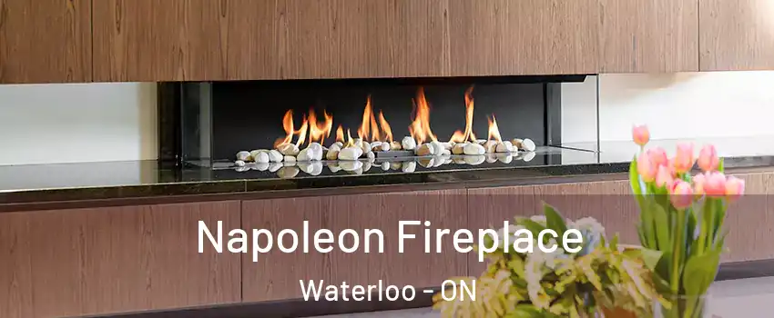  Napoleon Fireplace Waterloo - ON